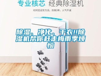 常見問題除濕、凈化、干衣!!除濕機(jī)幫你趕走梅雨季煩惱