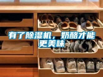 知識百科有了除濕機，奶酪才能更美味