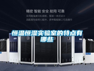 知識百科恒溫恒濕實(shí)驗(yàn)室的特點(diǎn)有哪些