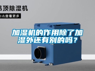 常見問題加濕機的作用除了加濕外還有別的嗎？