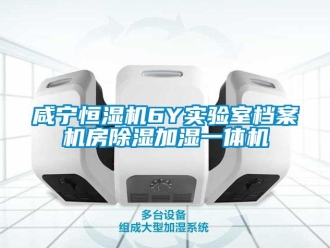 知識(shí)百科咸寧恒濕機(jī)6Y實(shí)驗(yàn)室檔案機(jī)房除濕加濕一體機(jī)