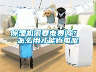 行業(yè)新聞除濕機需要電費嗎？ 怎么用才能省電呢