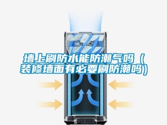 常見問題墻上刷防水能防潮氣嗎（裝修墻面有必要刷防潮嗎）