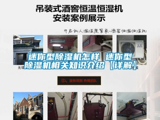 行業(yè)新聞迷你型除濕機怎樣 迷你型除濕機相關(guān)知識介紹【詳解】