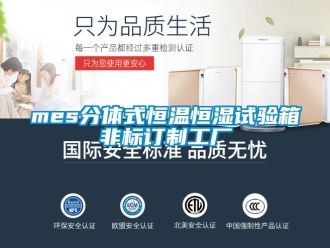 常見問題mes分體式恒溫恒濕試驗箱非標訂制工廠