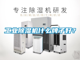 常見問題工業(yè)除濕機什么牌子好？
