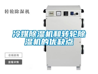 行業(yè)新聞冷媒除濕機(jī)和轉(zhuǎn)輪除濕機(jī)的優(yōu)缺點(diǎn)