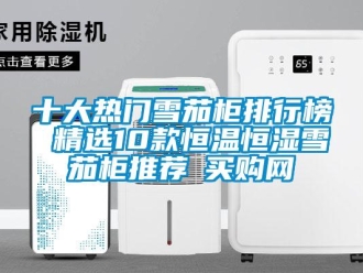 知識百科十大熱門雪茄柜排行榜 精選10款恒溫恒濕雪茄柜推薦→買購網(wǎng)