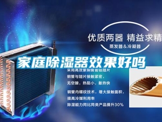 行業(yè)新聞家庭除濕器效果好嗎