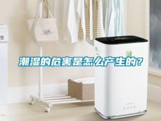 常見問題潮濕的危害是怎么產(chǎn)生的？