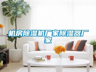 企業(yè)新聞機(jī)房除濕機(jī)廠家除濕器廠家