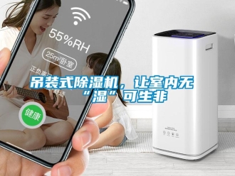 企業(yè)新聞吊裝式除濕機(jī)，讓室內(nèi)無“濕”可生非