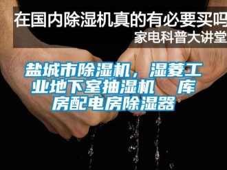 常見問題鹽城市除濕機，濕菱工業(yè)地下室抽濕機  庫房配電房除濕器