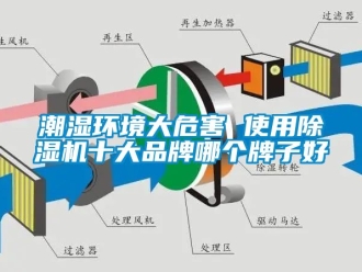 企業(yè)新聞潮濕環(huán)境大危害 使用除濕機十大品牌哪個牌子好