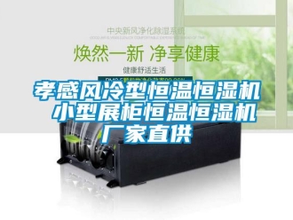 知識(shí)百科孝感風(fēng)冷型恒溫恒濕機(jī) 小型展柜恒溫恒濕機(jī)廠家直供