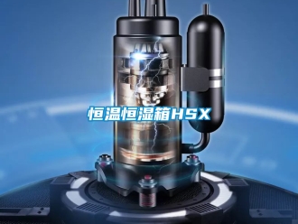 知識(shí)百科恒溫恒濕箱HSX