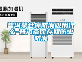常見(jiàn)問(wèn)題普洱茶倉(cāng)庫(kù)防潮吸用什么-普洱茶保存如防蟲(chóng)防潮
