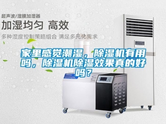 行業(yè)新聞家里感覺(jué)潮濕，除濕機(jī)有用嗎，除濕機(jī)除濕效果真的好嗎？