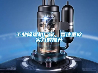 企業(yè)新聞工業(yè)除濕機(jī)廠家，要注重軟實(shí)力的提升