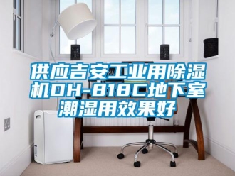 常見(jiàn)問(wèn)題供應(yīng)吉安工業(yè)用除濕機(jī)DH-818C地下室潮濕用效果好