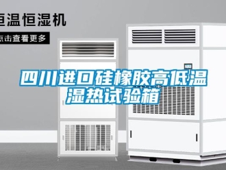 常見問題四川進口硅橡膠高低溫濕熱試驗箱