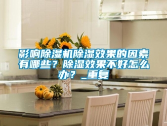 行業(yè)新聞?dòng)绊懗凉駲C(jī)除濕效果的因素有哪些？除濕效果不好怎么辦？_重復(fù)