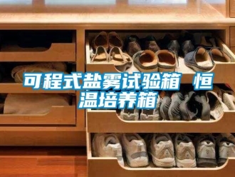 知識百科可程式鹽霧試驗箱 恒溫培養(yǎng)箱