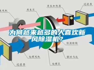 知識百科為何越來越多的人喜歡新風(fēng)除濕機(jī)？