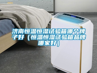 知識百科濟(jì)南恒溫恒濕試驗箱哪個牌子好（恒溫恒濕試驗箱品牌哪家好）