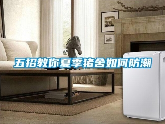 常見問題五招教你夏季豬舍如何防潮