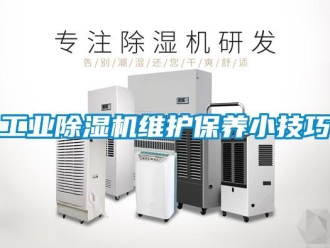 企業(yè)新聞工業(yè)除濕機維護保養(yǎng)小技巧