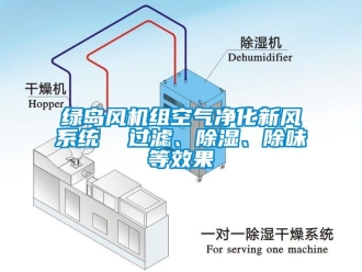 常見問題綠島風(fēng)機組空氣凈化新風(fēng)系統(tǒng)  過濾、除濕、除味等效果