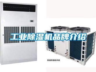 企業(yè)新聞工業(yè)除濕機(jī)品牌介紹
