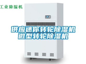 常見問題供應(yīng)迷你轉(zhuǎn)輪除濕機(jī)微型轉(zhuǎn)輪除濕機(jī)