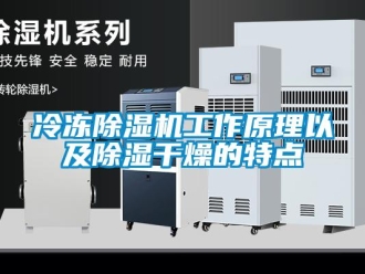 行業(yè)新聞冷凍除濕機工作原理以及除濕干燥的特點