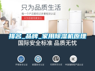 企業(yè)新聞排名_品牌_家用除濕機(jī)原理