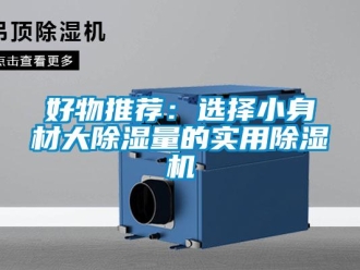 行業(yè)新聞好物推薦：選擇小身材大除濕量的實(shí)用除濕機(jī)