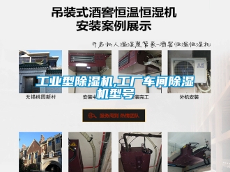 常見問題工業(yè)型除濕機(jī),工廠車間除濕機(jī)型號