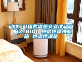 知識百科勱準(zhǔn) 可程式濕熱交變試驗(yàn)箱 MZ-B101 恒溫恒濕試驗(yàn)箱 恒溫恒濕箱