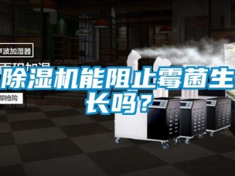 常見問題除濕機能阻止霉菌生長嗎？
