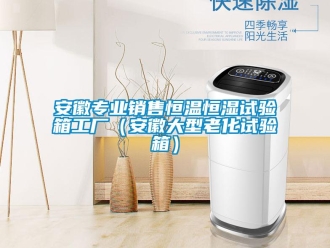常見問題安徽專業(yè)銷售恒溫恒濕試驗(yàn)箱工廠（安徽大型老化試驗(yàn)箱）