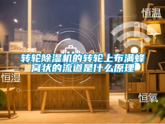 常見(jiàn)問(wèn)題轉(zhuǎn)輪除濕機(jī)的轉(zhuǎn)輪上布滿蜂窩狀的流道是什么原理