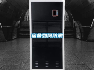 常見問(wèn)題宿舍如何防潮