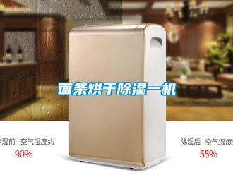 行業(yè)新聞面條烘干除濕一機(jī)
