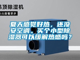 行業(yè)新聞夏天感覺好熱，還沒安空調(diào)。買個(gè)小型除濕器可以緩解熱感嗎？