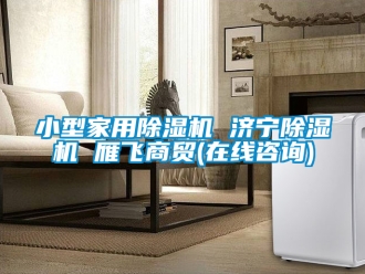 常見問題小型家用除濕機 濟寧除濕機 雁飛商貿(mào)(在線咨詢)