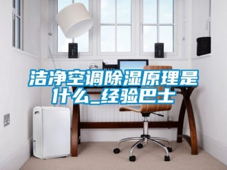 行業(yè)新聞潔凈空調(diào)除濕原理是什么_經(jīng)驗巴士