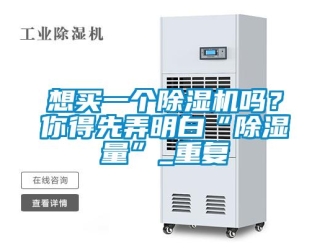 行業(yè)新聞想買一個(gè)除濕機(jī)嗎？你得先弄明白“除濕量”_重復(fù)