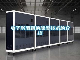 常見問題電子防潮箱的除濕技術(shù)的介紹