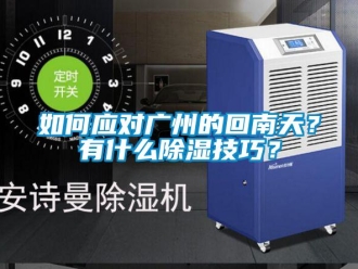 常見(jiàn)問(wèn)題如何應(yīng)對(duì)廣州的回南天？有什么除濕技巧？